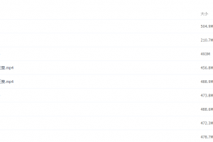 2021届高三王赞寒假班(HL绝密)- 王赞视频课程