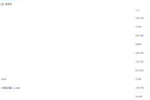 2021届寒假班(HL绝密)-高三赵礼显寒假班视频课程