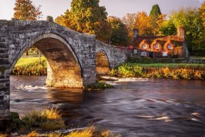 新高一预习 语文、数学、物理、化学 预习视频课加讲义