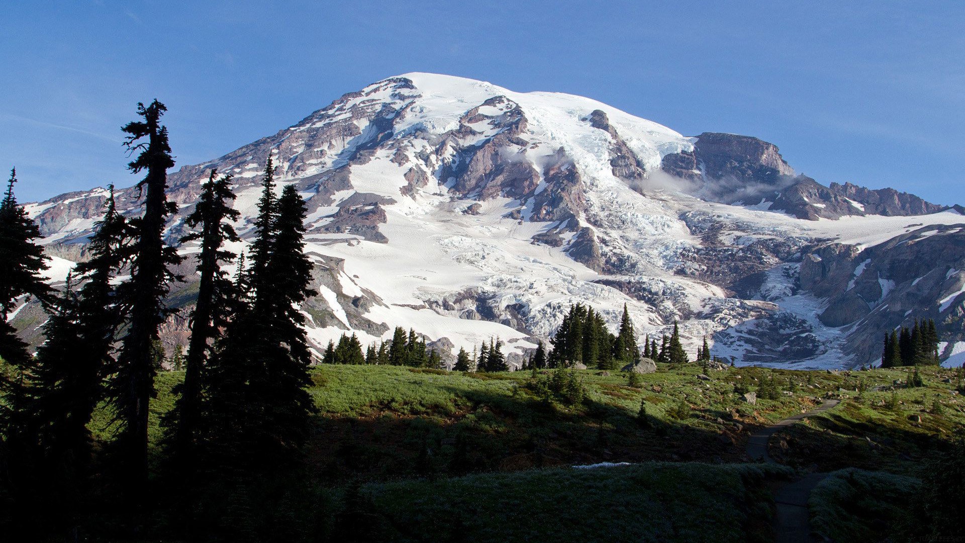 初中化学除去铁中的铜，除去铜中的铁可用什么方法