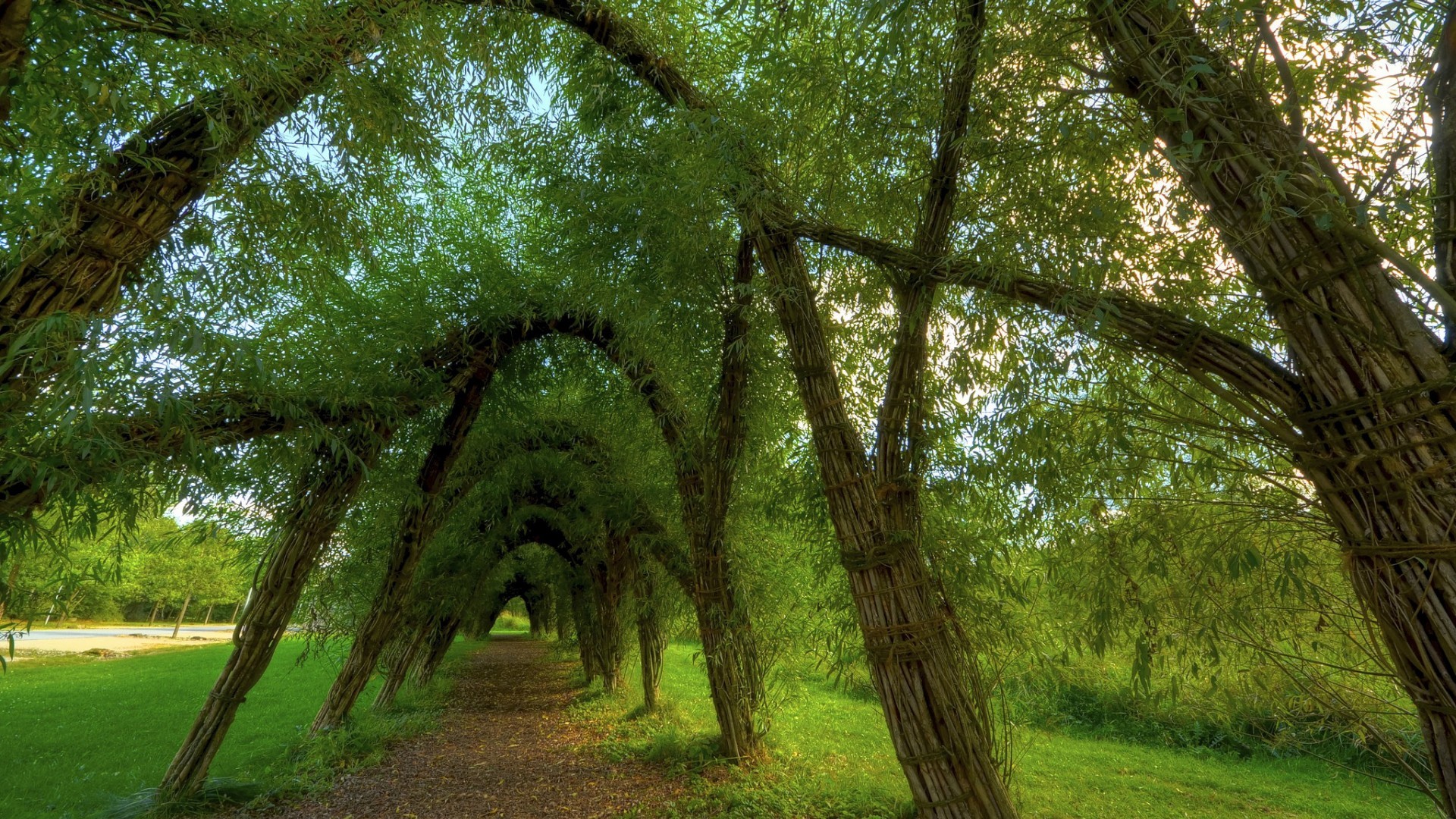 2023高考甲卷语文答案，2023高考甲卷语文答案解析