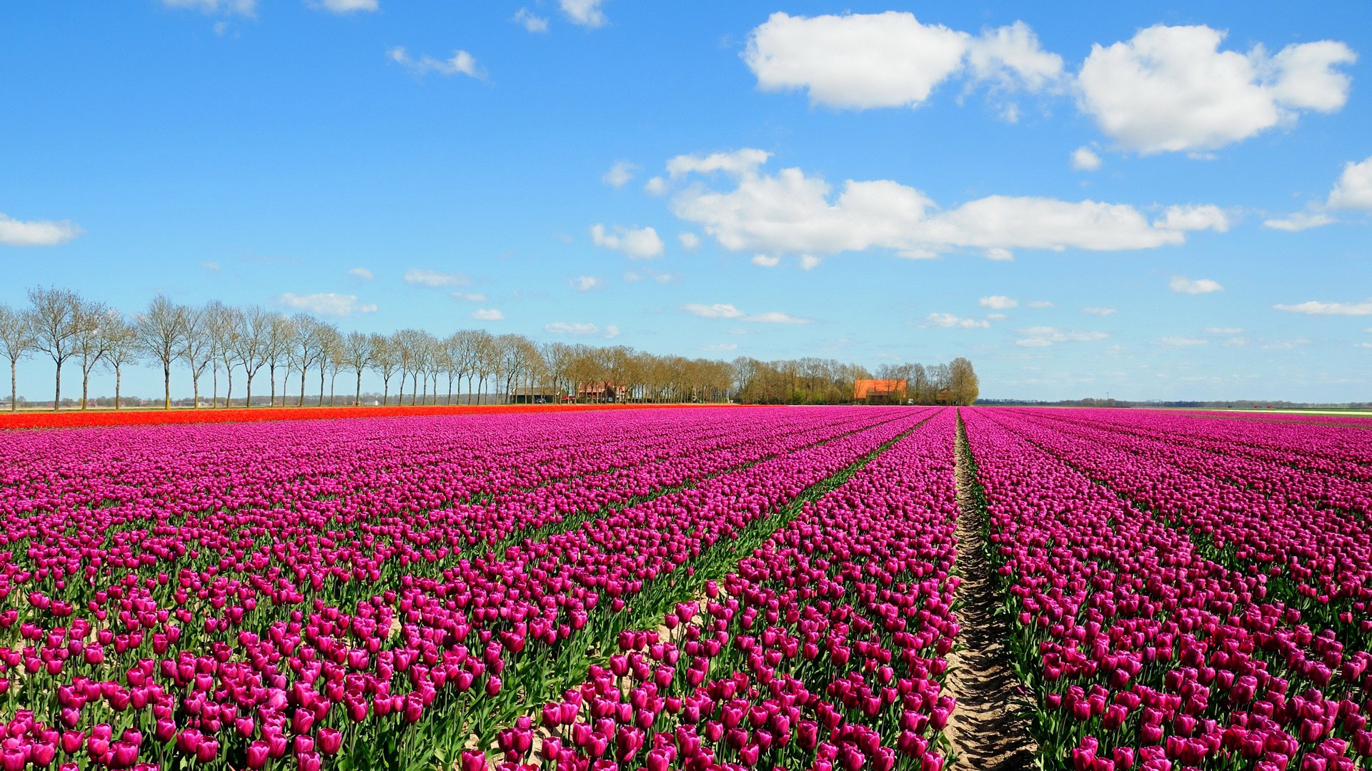 厦门青少年编程,厦门青少年编程培训机构