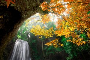 [芝麻学社]ahashool国宝有意思-用小文物窥探大历史