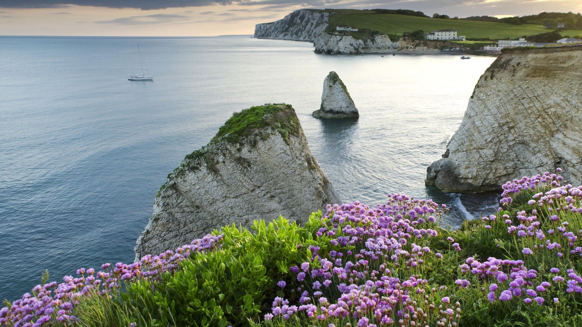 高考真题在线估分,高考真题在线估分软件
