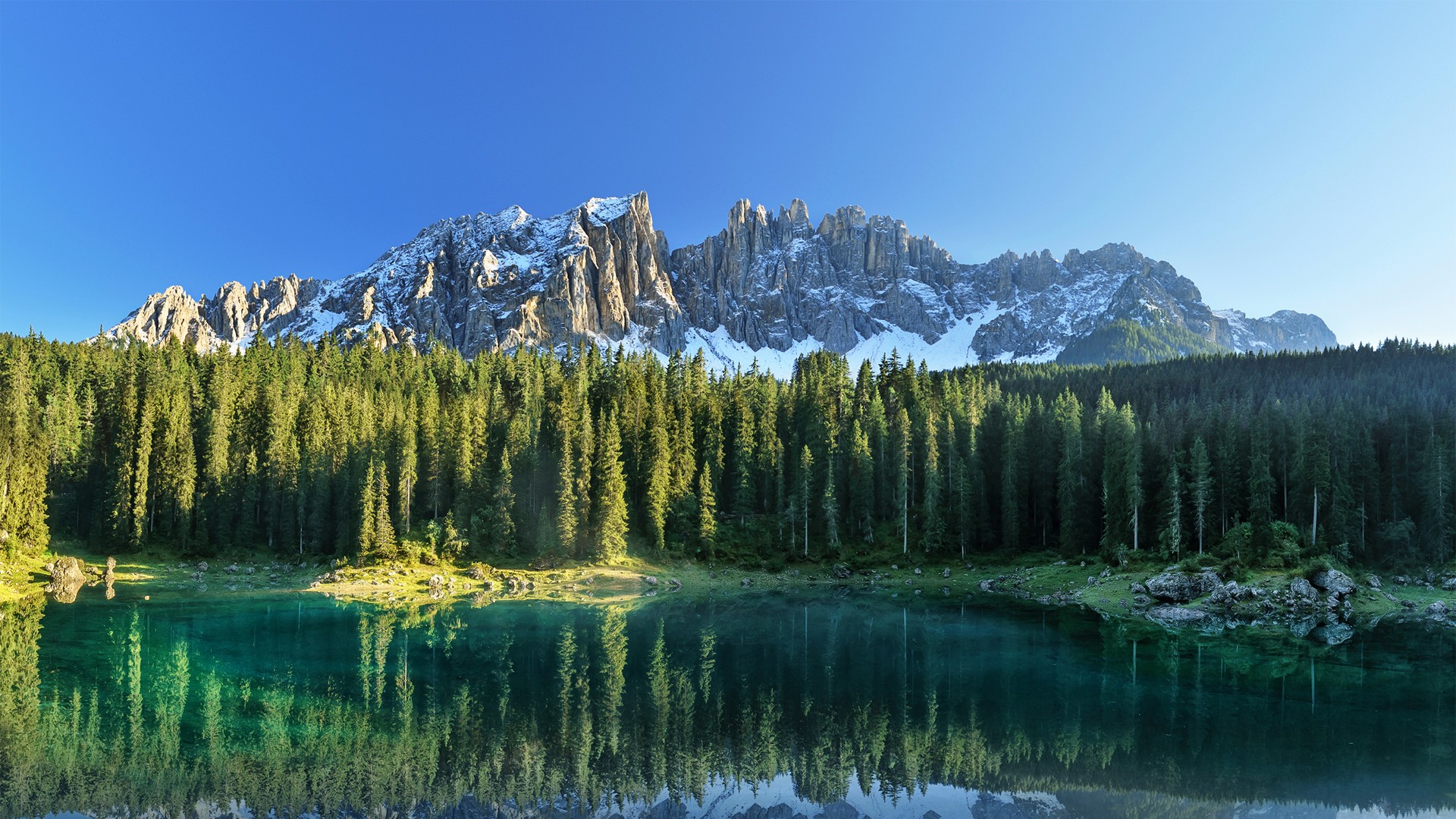 爬虫python能做什么，爬虫python能做什么工作