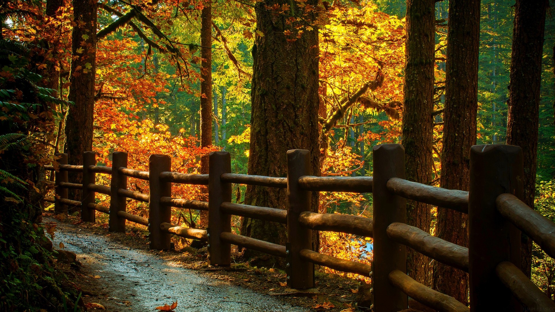 高一和高二的区别,高一和高二的区别在哪里