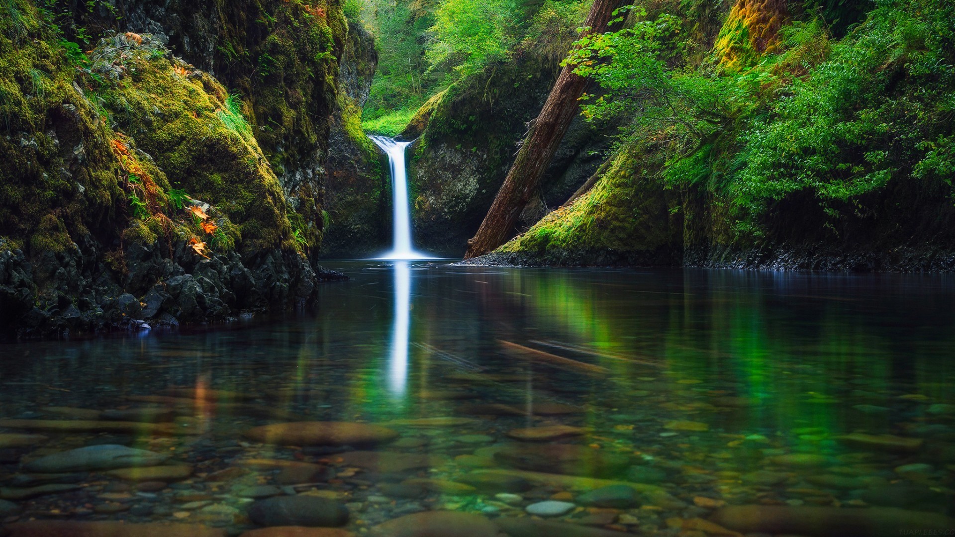高中体育老师需要什么条件，高中体育老师需要什么条件才能考