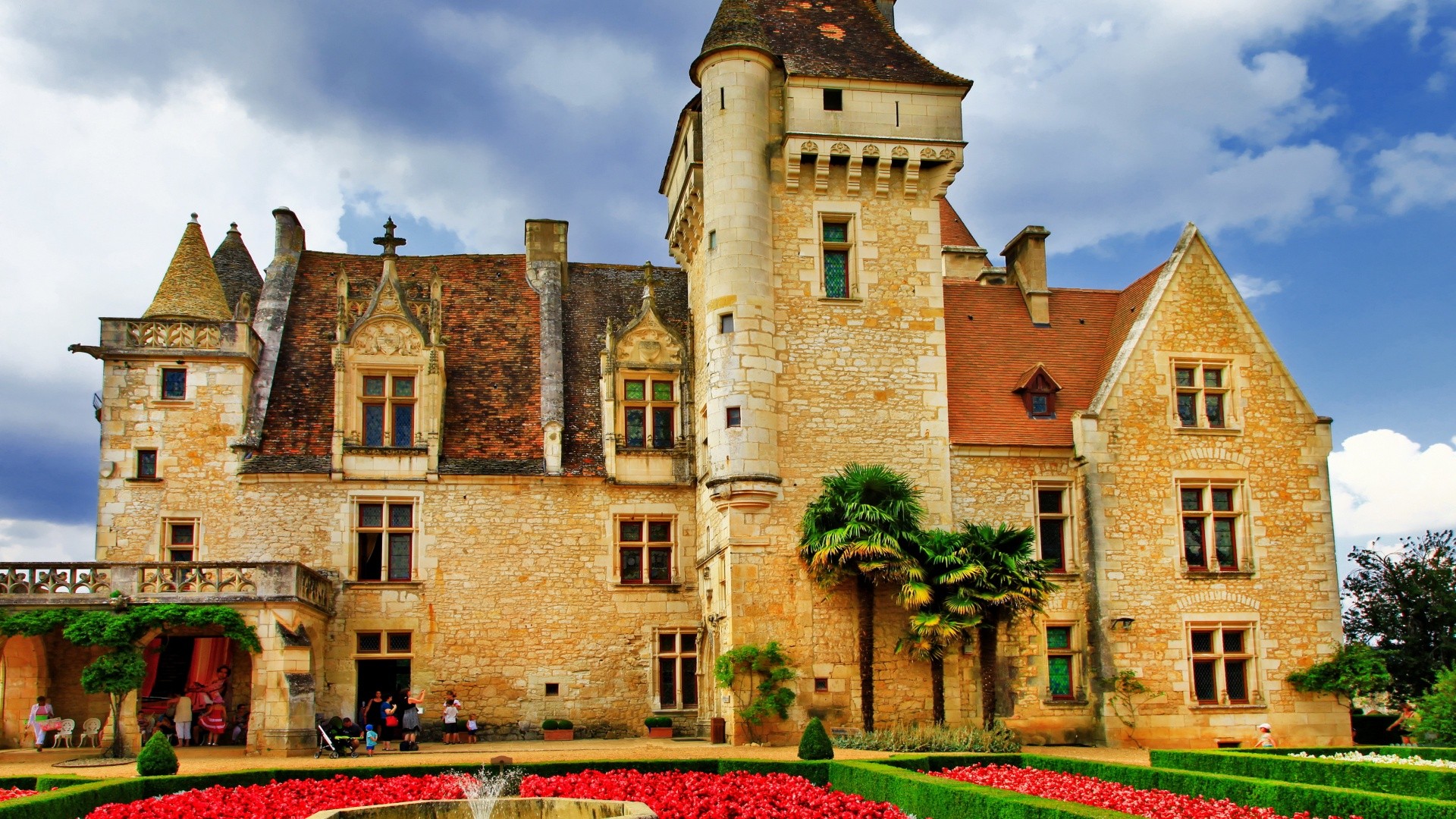 高一英语上册单词,高一英语上册单词表