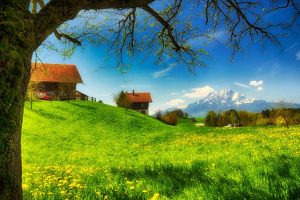 【高思网课】 思泉大语文一年级上下合集