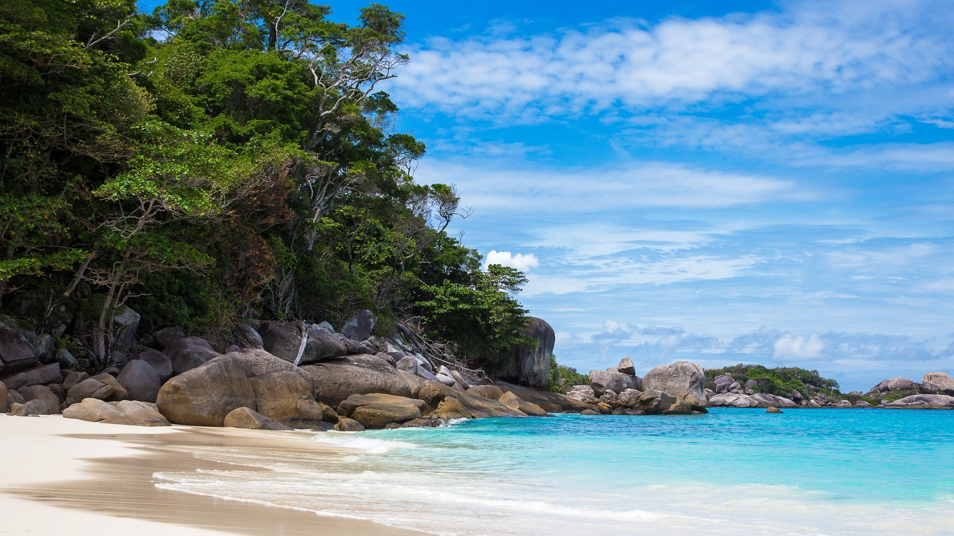 初中语文大讲堂，初中语文大讲堂视频