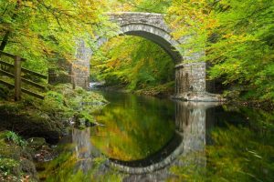 七年级上册英语书电子版,七年级上册英语书电子版外研版