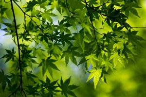 你在哪里用英语怎么说,你在哪里用英语怎么说回答