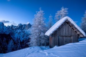 安排英文,安排英文怎么说