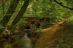 百度翻译在线英语，百度翻译在线英语翻译