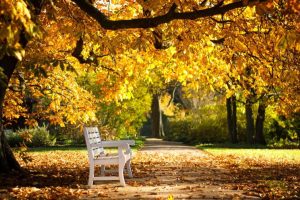 安博少儿英语加盟，安博少儿英语加盟费多少钱