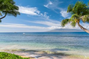 你也一样用英语怎么说,你也一样用英语怎么说口语