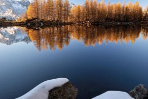 giant怎么读，giant怎么读音标