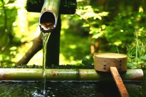 they英语怎么读，they英语怎么读音