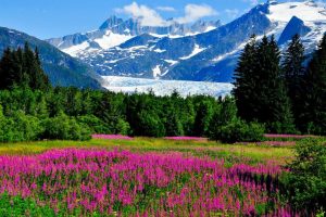 group怎么读，group怎么读英语