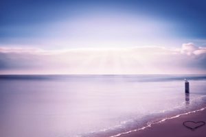 feedback可数吗，Feedback可数吗