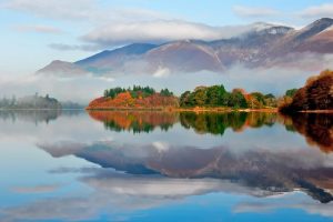 百度在线翻译中文，百度在线翻译中文翻英文