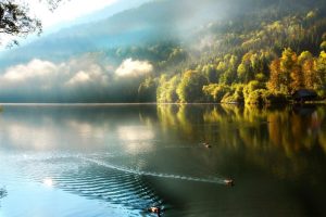 百度同义句在线翻译器，百度同义句在线翻译器翻译