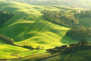 女儿的英语，女儿的英语怎么说