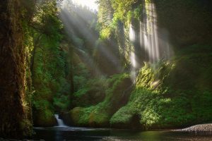 清华社英语在线平台,清华社英语在线平台下载